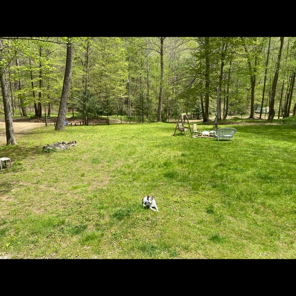 Meet your Posher, Ryan - Picture 1 of 1